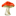 'amazingshrooms.co' icon