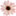 'amysflowers.co.nz' icon
