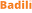 'badili.africa' icon