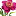 'blossomtips.com' icon