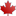 'cchst.ca' icon