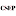 csep.org icon