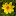 'easttennesseewildflowers.com' icon