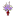 'floralsupply.com' icon