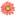 'georgesflowers.com' icon