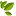 'green-shop.ch' icon