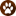 'hewanpeliharaan.org' icon