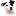 'jack-russell-terrier-pictures.com' icon