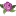 'juneflowers.ae' icon