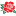 'rosebrand.co.id' icon