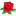 'rosecityliquor.com' icon