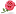 'rosegardening.org' icon