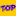 'topgames.com' icon